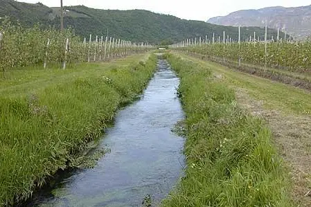 typisches Gewässer1