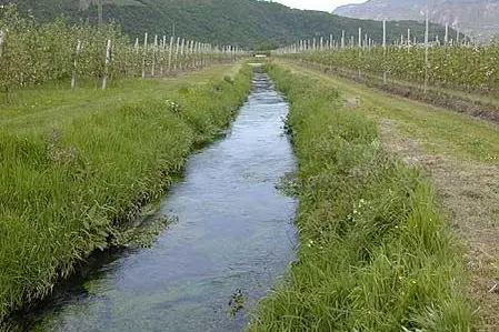 typisches Gewässer1