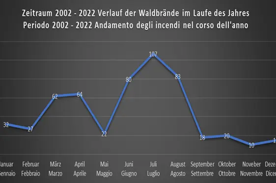 Andamento degli incendi nel corso dell'anno - Periodo 2002-2022