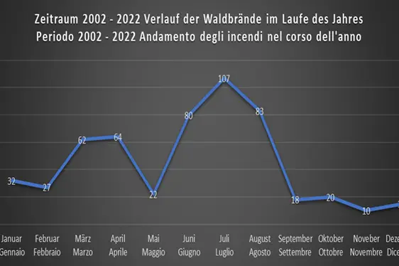 Andamento degli incendi nel corso dell'anno - Periodo 2002-2022