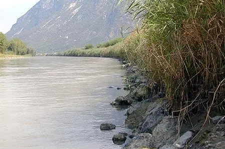 typisches Gewässer1