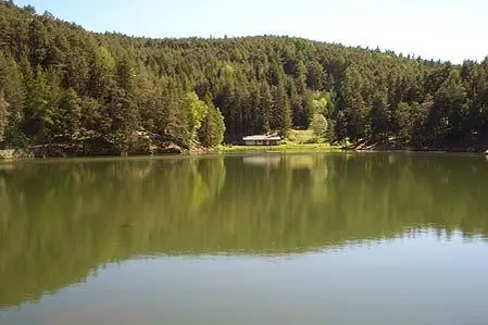 typisches Gewässer1