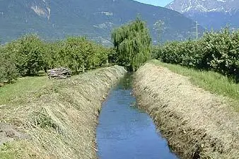 typisches Gewässer1