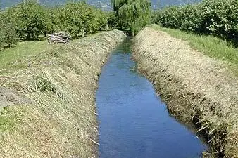 typisches Gewässer1