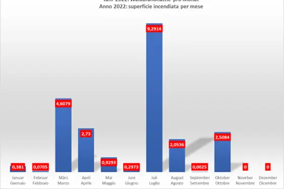 Grafico a barre con superficie incendiata per mese - Anno 2022