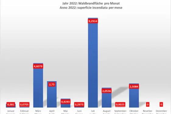 Grafico a barre con superficie incendiata per mese - Anno 2022