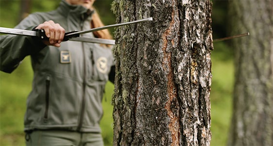 Una sovrintendente forestale controlla un tronco nell'ambito della gestione sostenibile del bosco. (Foto: USP /Benjamin Pfitscher) Una sovrintendente forestale controlla un tronco nell'ambito della gestione sostenibile del bosco. (Foto: USP /Benjamin Pfitscher)