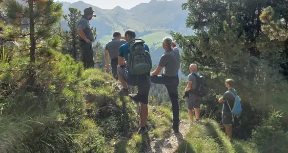 Servizio Forestale Provinciale e Corpo Forestale Provinciale