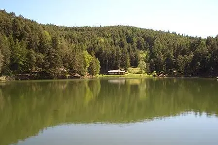 typisches Gewässer1