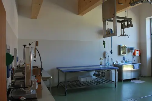 Aula lavorazione carni