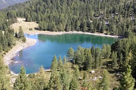 typisches Gewässer1