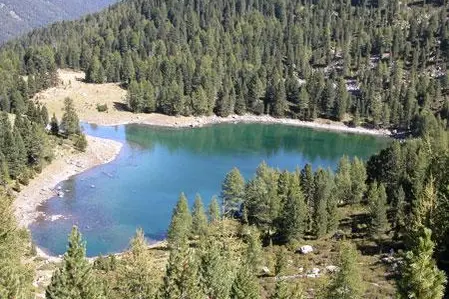 typisches Gewässer1