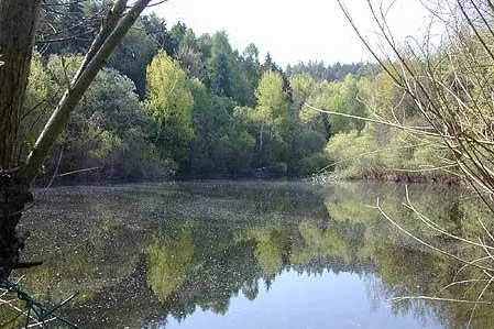 typisches Gewässer1