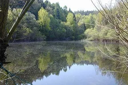 typisches Gewässer1