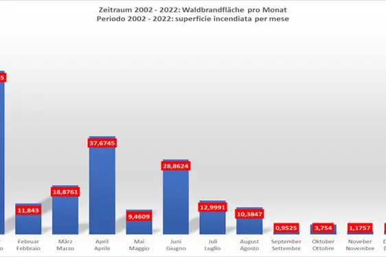 Grafico a barre con superficie incendiata per mese - Periodo 2002-2022