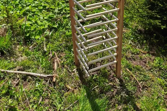 Protezione singola con protezioni in legno per i germogli