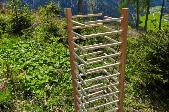 Protezione singola con protezioni in legno per i germogli