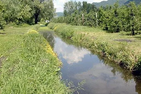 typisches Gewässer1