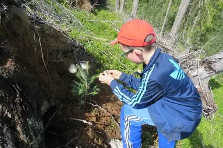 Bambino che pianta un albero