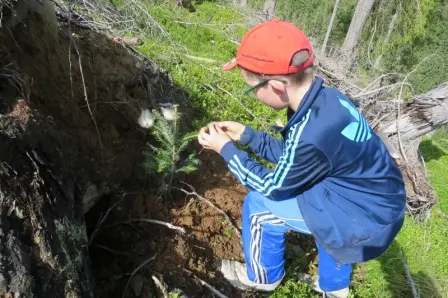 Bambino che pianta un albero