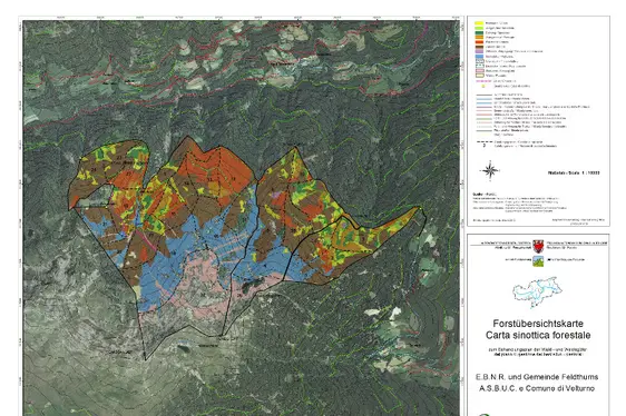 Esempio di carta sinottica forestale