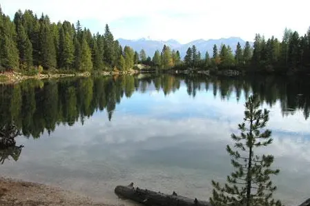 typisches Gewässer1