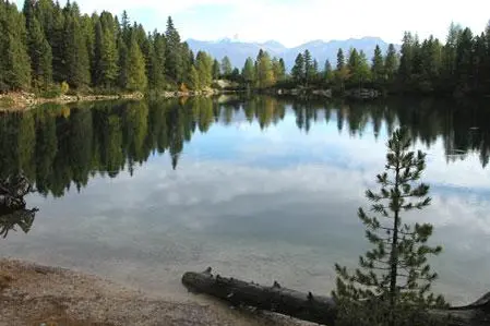 typisches Gewässer1