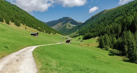 Almen und Berggebiet