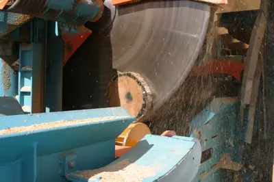 Troncatrice / Sega circolare