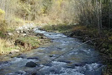 typisches Gewässer1