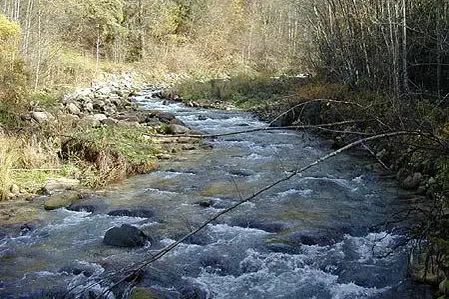 typisches Gewässer1