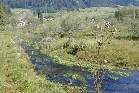 typisches Gewässer1