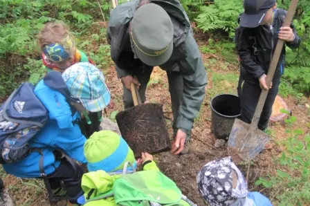 Scavare per piantare alberi