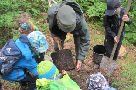 Scavare per piantare alberi