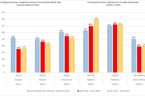 Grafico a barre con precipitazioni estive: confronto fra la media - periodo 2003 e 2022