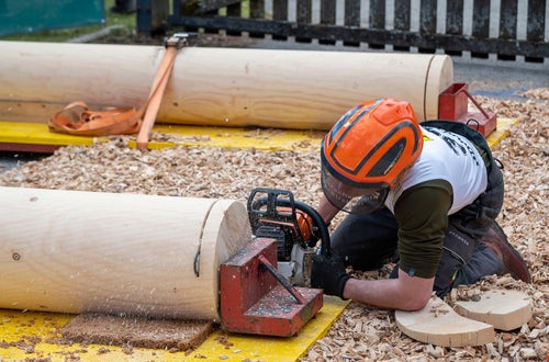 © Thomasch Michael © Thomasch Michael