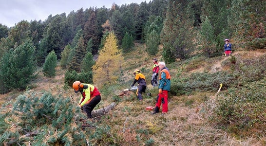 Naturschutz und Schutz von Artenvielfalt in der Praxis: Durch ihren Einsatz erlangten die Schülerinnen und Schüler ein besseres Verständnis für diese Themen. (Foto: LPA/Landesamt für Natur/Markus Kantioler) Naturschutz und Schutz von Artenvielfalt in der Praxis: Durch ihren Einsatz erlangten die Schülerinnen und Schüler ein besseres Verständnis für diese Themen. (Foto: LPA/Landesamt für Natur/Markus Kantioler)