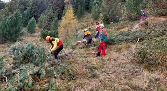 Naturschutz und Schutz von Artenvielfalt in der Praxis: Durch ihren Einsatz erlangten die Schülerinnen und Schüler ein besseres Verständnis für diese Themen. (Foto: LPA/Landesamt für Natur/Markus Kantioler) Naturschutz und Schutz von Artenvielfalt in der Praxis: Durch ihren Einsatz erlangten die Schülerinnen und Schüler ein besseres Verständnis für diese Themen. (Foto: LPA/Landesamt für Natur/Markus Kantioler)