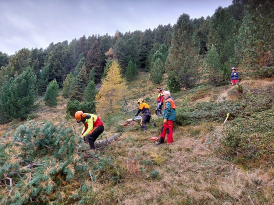 Naturschutz und Schutz von Artenvielfalt in der Praxis: Durch ihren Einsatz erlangten die Schülerinnen und Schüler ein besseres Verständnis für diese Themen. (Foto: LPA/Landesamt für Natur/Markus Kantioler) Naturschutz und Schutz von Artenvielfalt in der Praxis: Durch ihren Einsatz erlangten die Schülerinnen und Schüler ein besseres Verständnis für diese Themen. (Foto: LPA/Landesamt für Natur/Markus Kantioler)