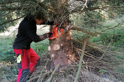 Weidepflege 2021 FSDietenheim Weidepflege 2021 FSDietenheim