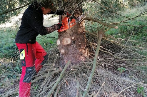 Weidepflege 2021 FSDietenheim Weidepflege 2021 FSDietenheim