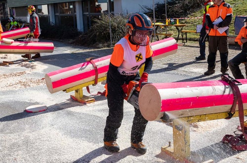 © Thomasch Michael © Thomasch Michael