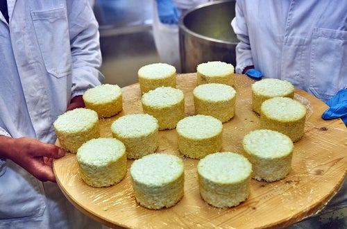 Käseherstellung Käse Frischkäse Käseherstellung Käse Frischkäse