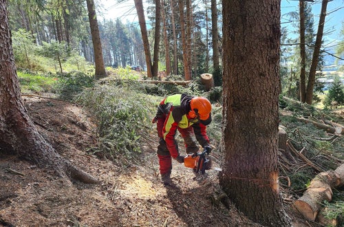 Waldarbeiterwoche Waldarbeiterwoche
