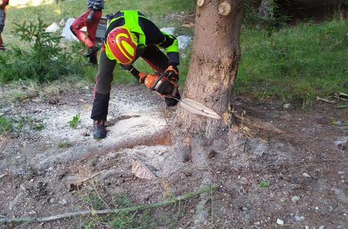 Weidepflege 2021 FSDietenheim Weidepflege 2021 FSDietenheim