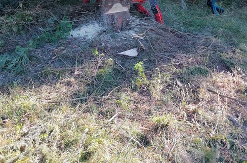 Weidepflege 2021 FSDietenheim Weidepflege 2021 FSDietenheim