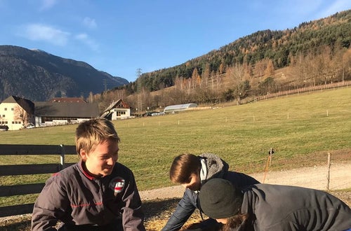 Schafschur Schafschur