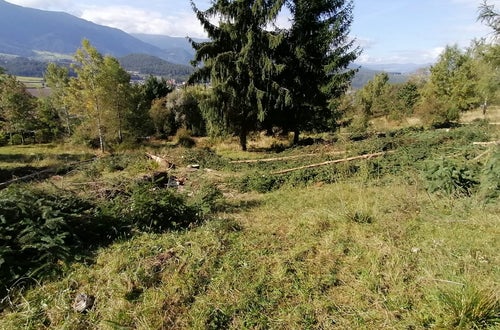 Weidepflege 2021 FSDietenheim Weidepflege 2021 FSDietenheim