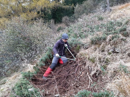 Weidepflege Projekt mit Forstamt Weidepflege Projekt mit Forstamt