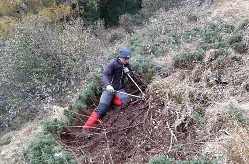 Weidepflege Projekt mit Forstamt Weidepflege Projekt mit Forstamt
